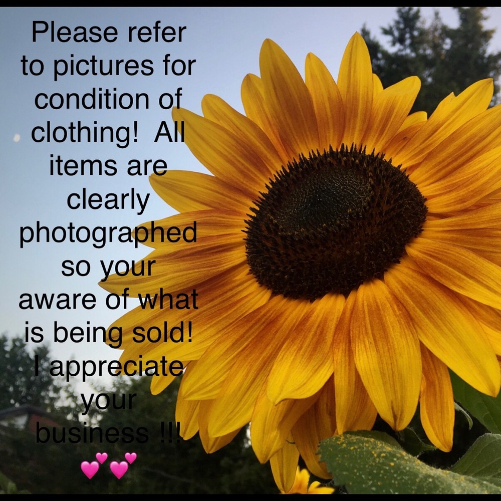 Please review description and picture of item!